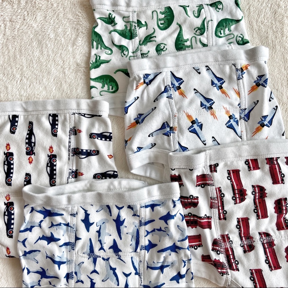 NWOT Hanna Anderson training underwear